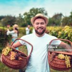 Smiling Male Carrying Baskets Full Of Grapes